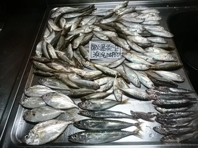 恵みに感謝