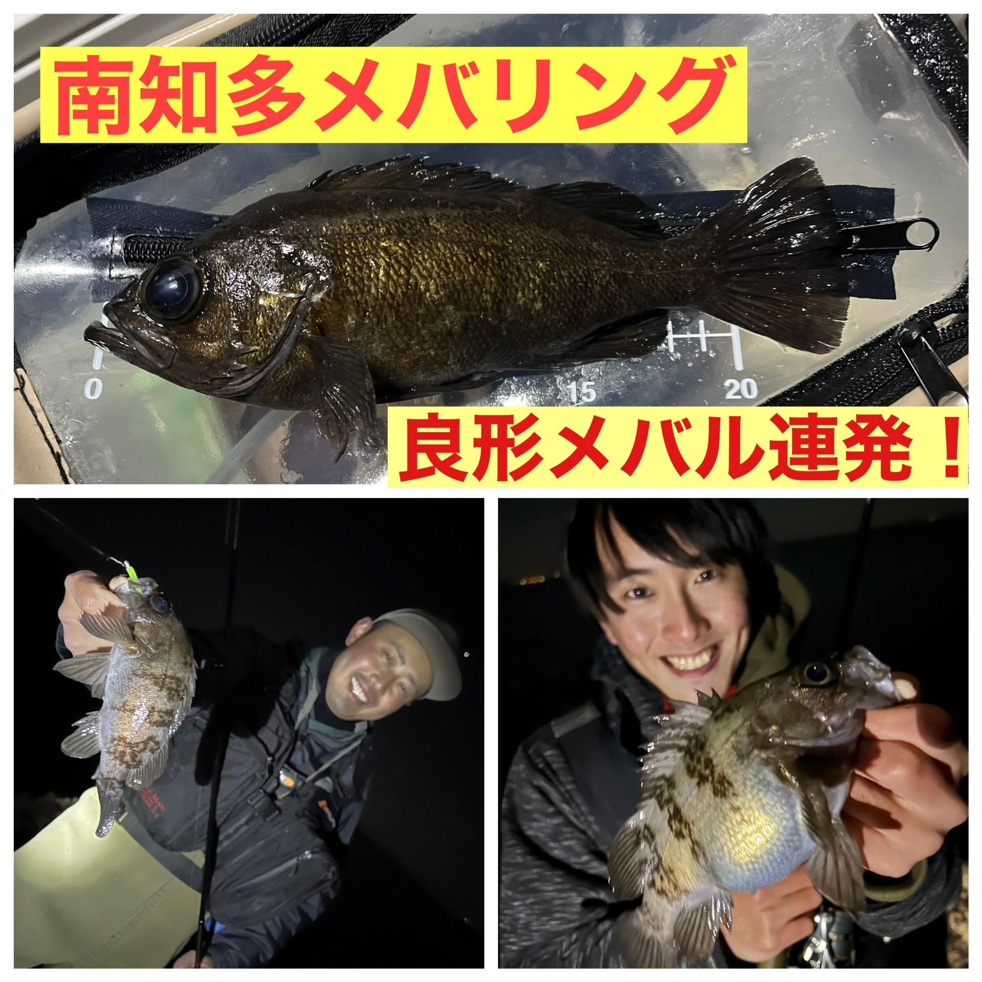南知多で冬が本番のメバリングに行ってきました！寒くなってきましたがメバルは今がアツいですよ！