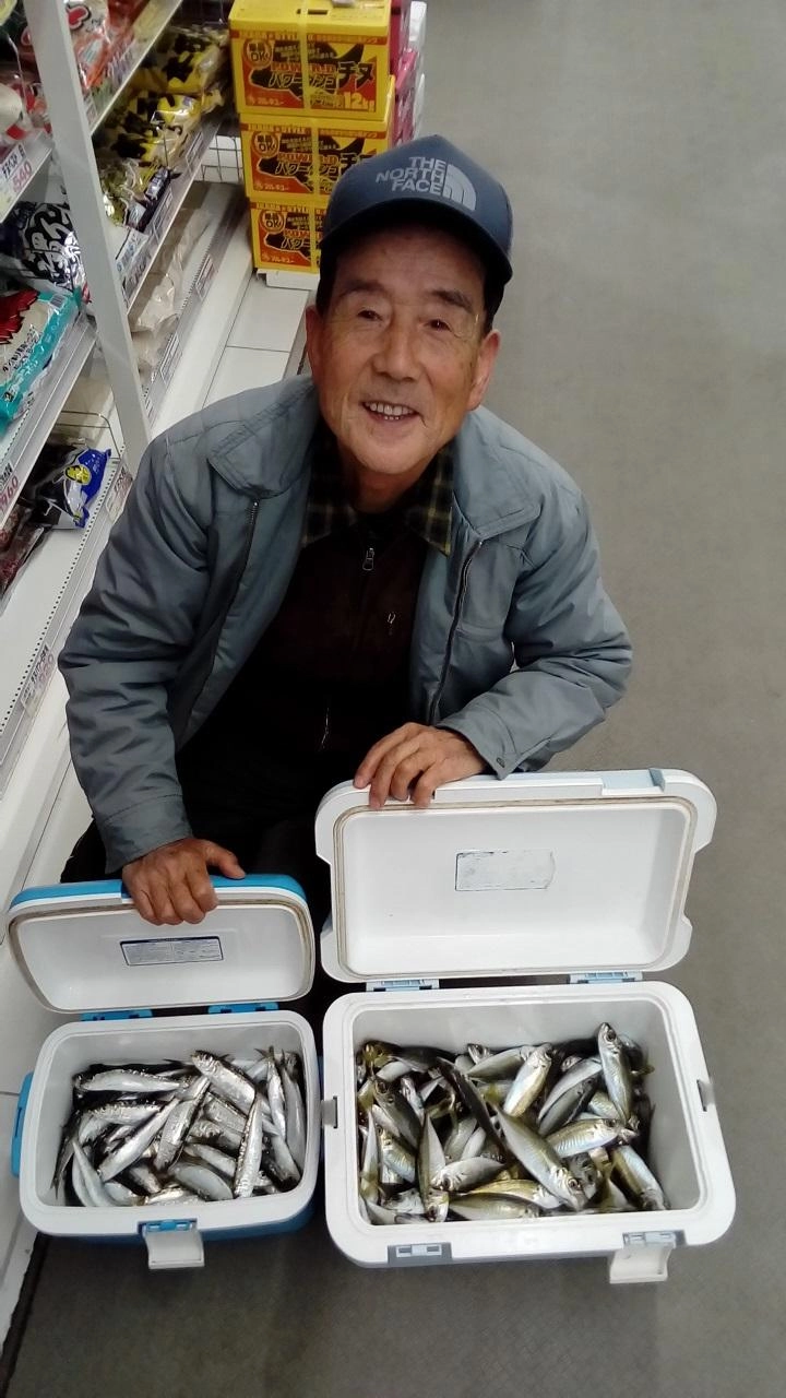 初釣りでクーラーイワシとアジで満タン！