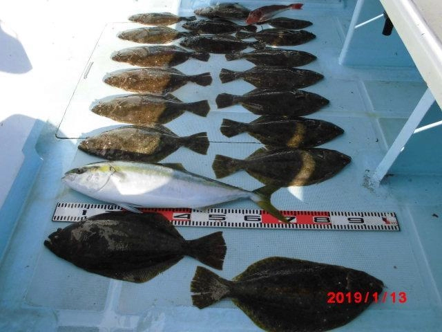 片舷だけでのこの釣果ッ(・∀・)アタリも頻繁にありましたよッ(о´∀`о)
