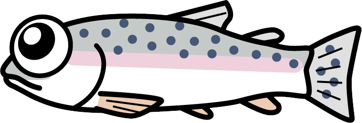 松川湖　ドナルドソンニジマス釣れてます！