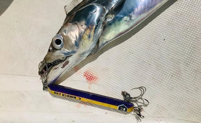 ヒットジグはエデュース　キッカー！！遠州灘の太刀魚を狙うならこのジグですね♪