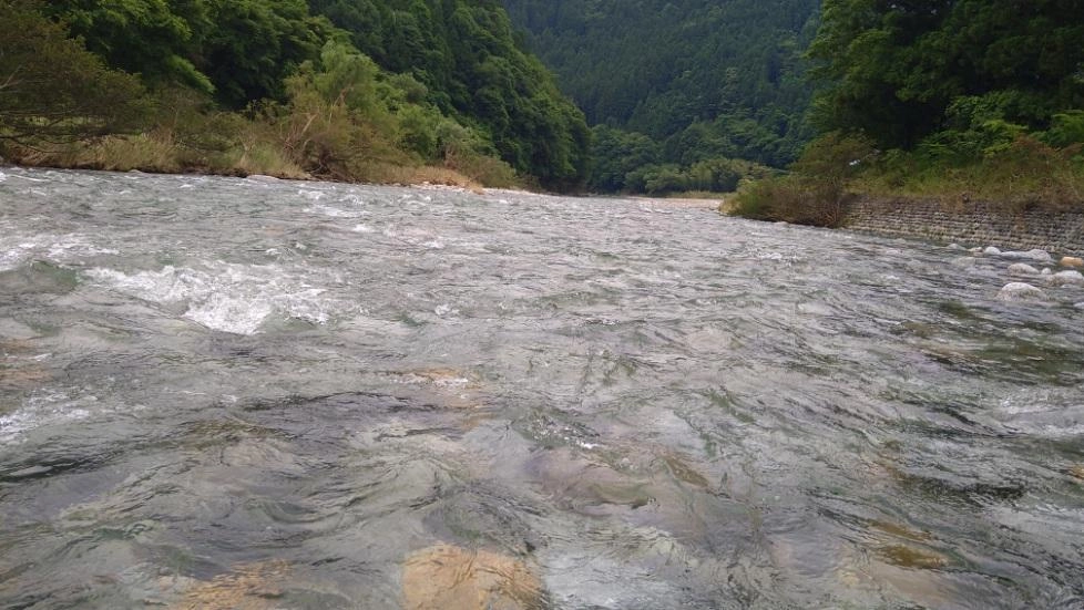 ちょうど攻めやすい水量でした！