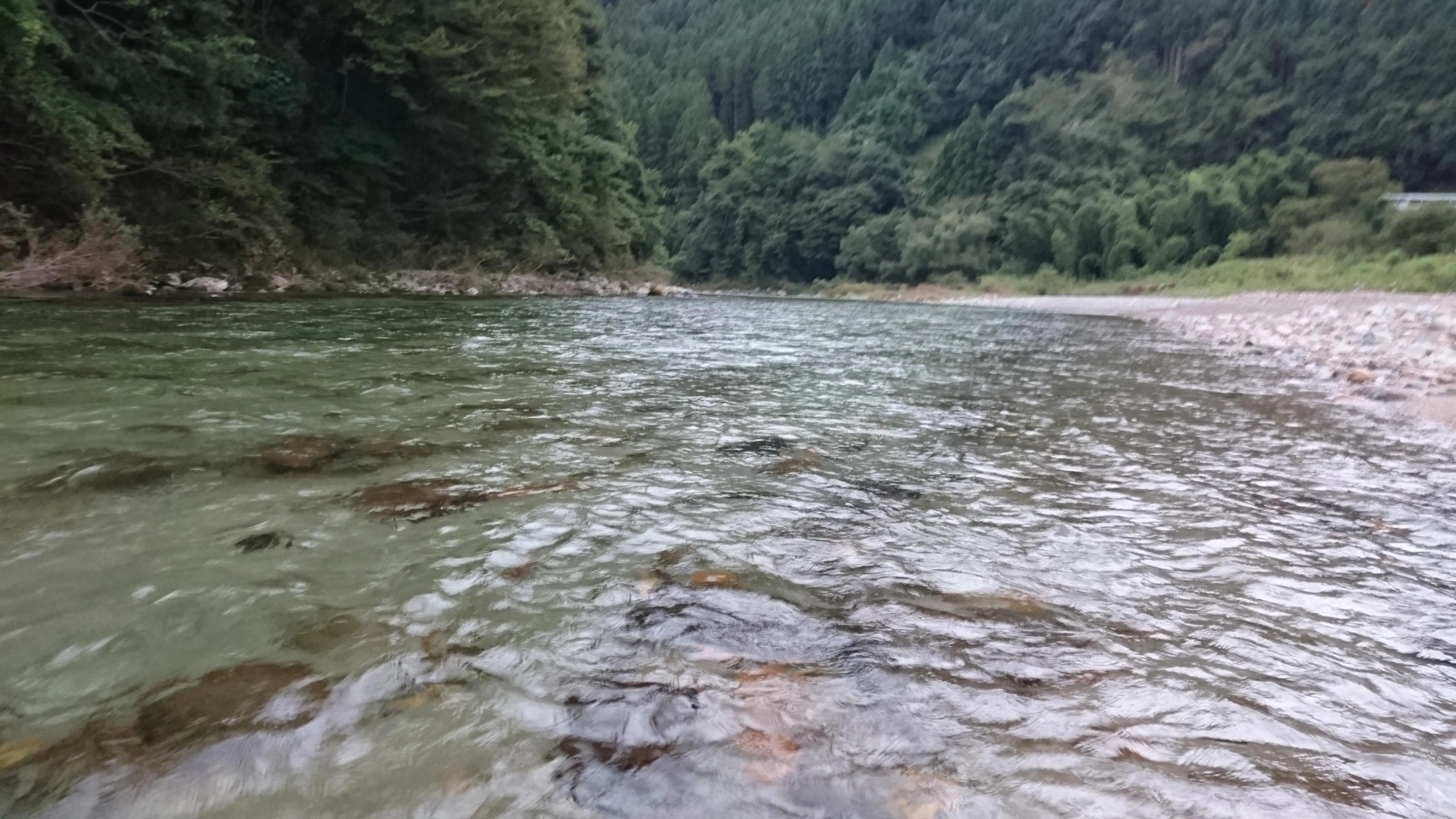 奥に見えるのが河内の瀬になります