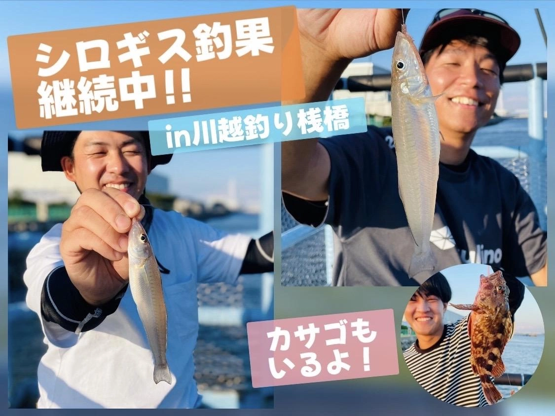 【シロギス釣果継続中！カサゴもいるよ♪】ちょい投げin川越釣り桟橋