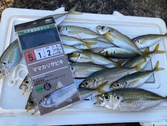Tsulinoママカリサビキ５号を使用
