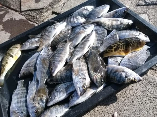 恵みに感謝