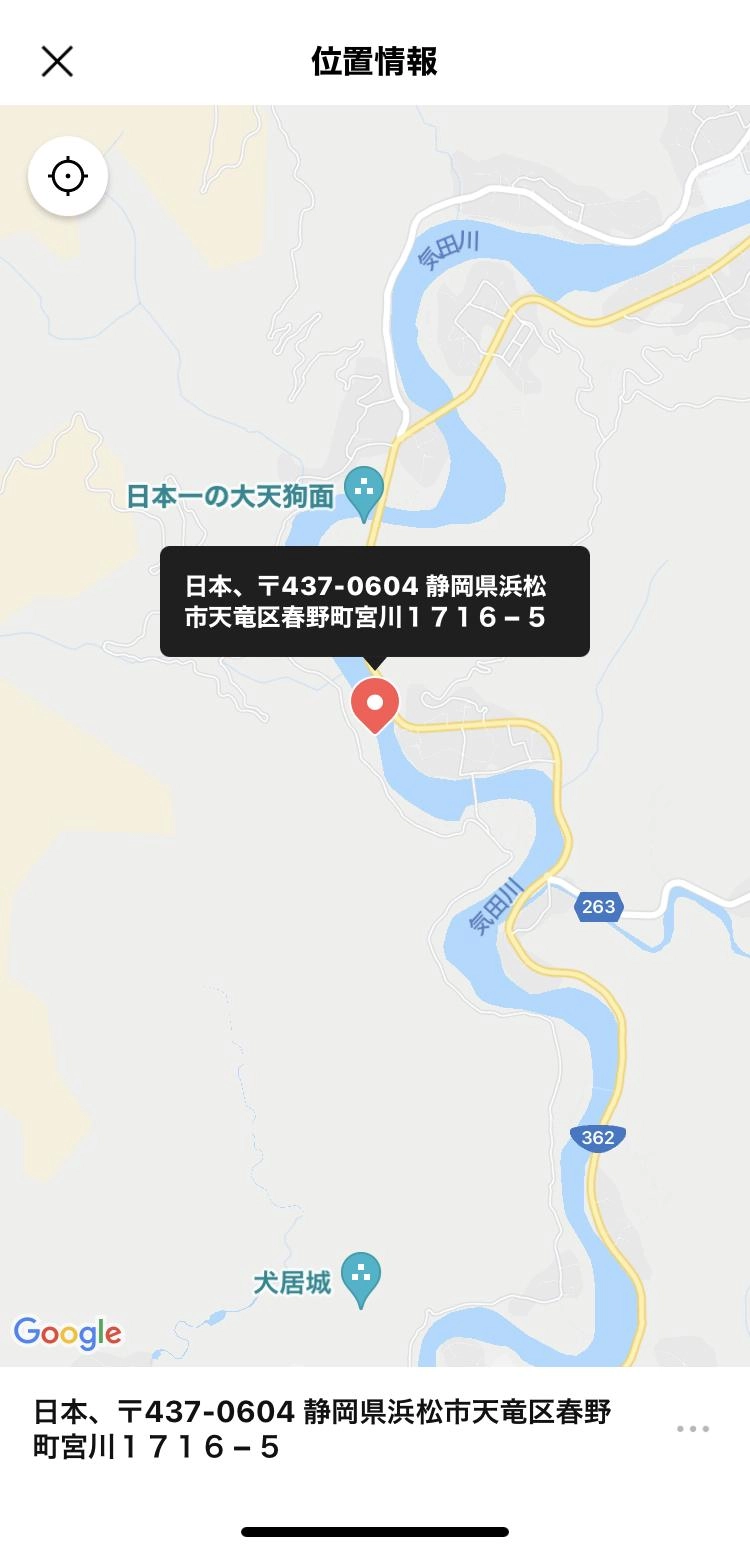 茶色になった川底にニジマスは着いてます。