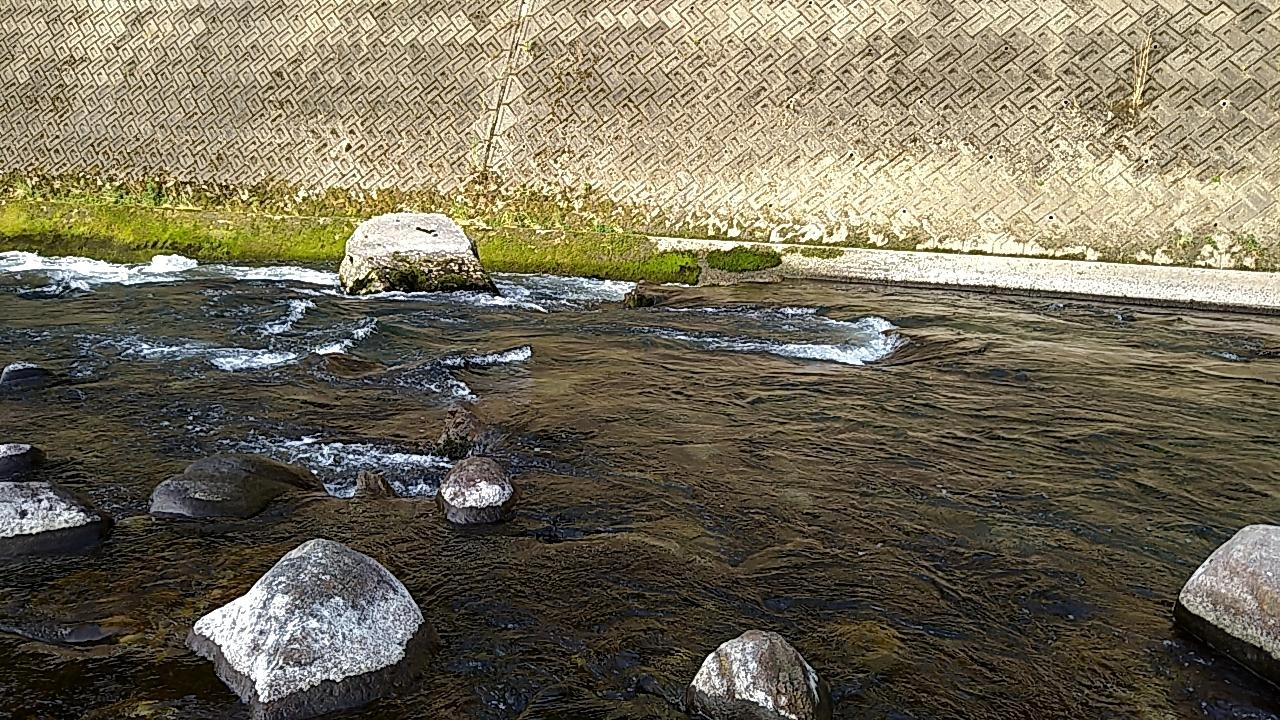 明るくなったポイントはこちら（笑）