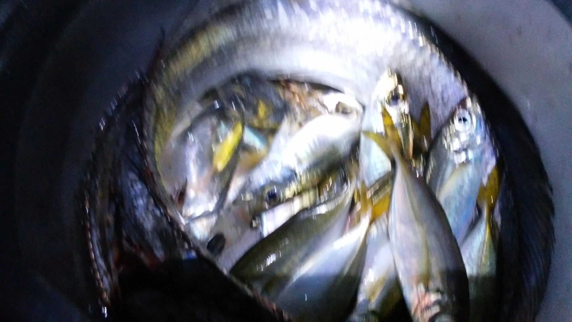 恵みに感謝！