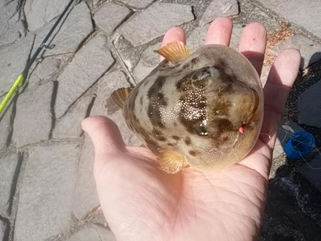 お怒り