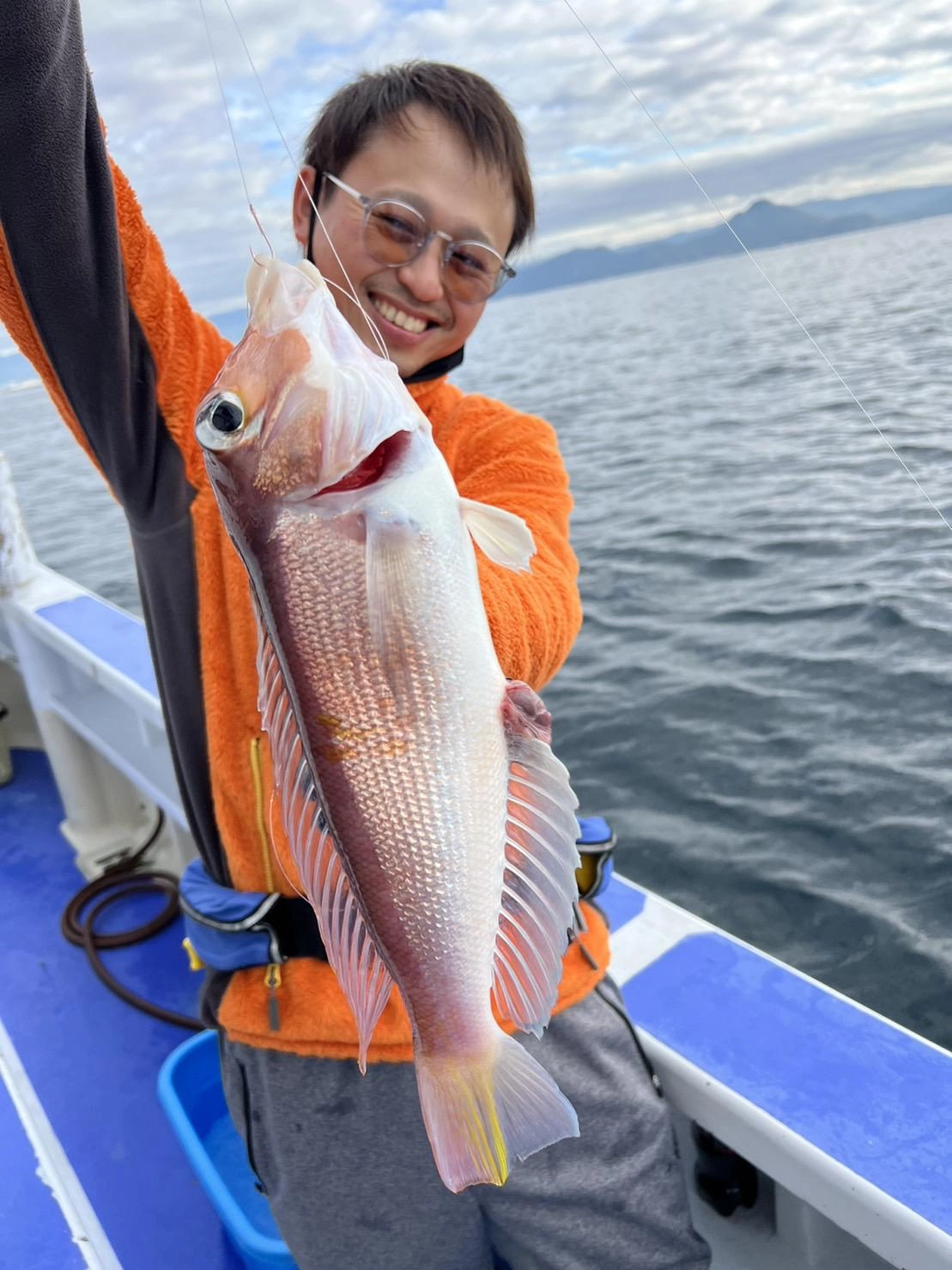 沼津沖アマダイ釣れてます！釣れたアマダイは良型ばかりでした！