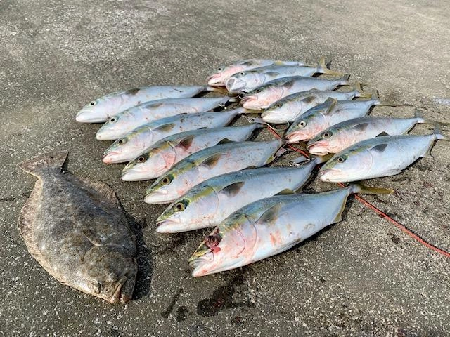 一人でこの釣果！！！