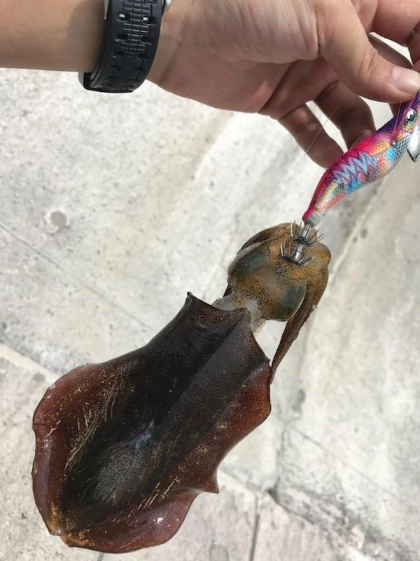 定番カラー虹テープのピンクカラー
