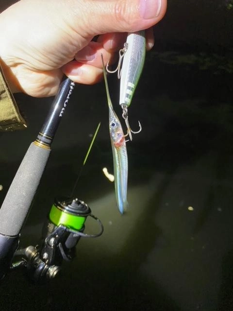 ベイトはサユリ、イナッコがいました。