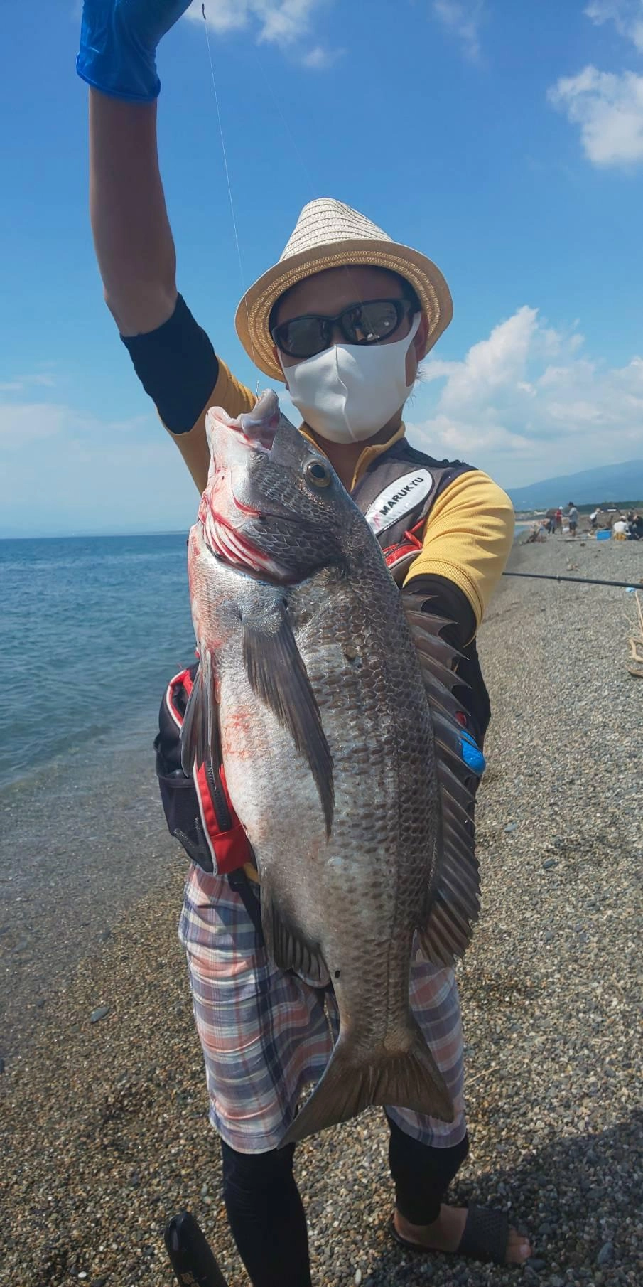 この時期は良型のクロダイを狙えるチャンスです！