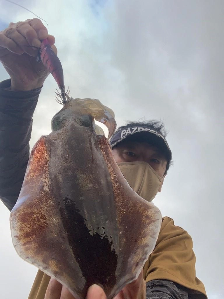 ３００ｇの夏っ子でした。ボトムを取ってから底周辺でエギをシャクっていたら抱き着いて来ました♪