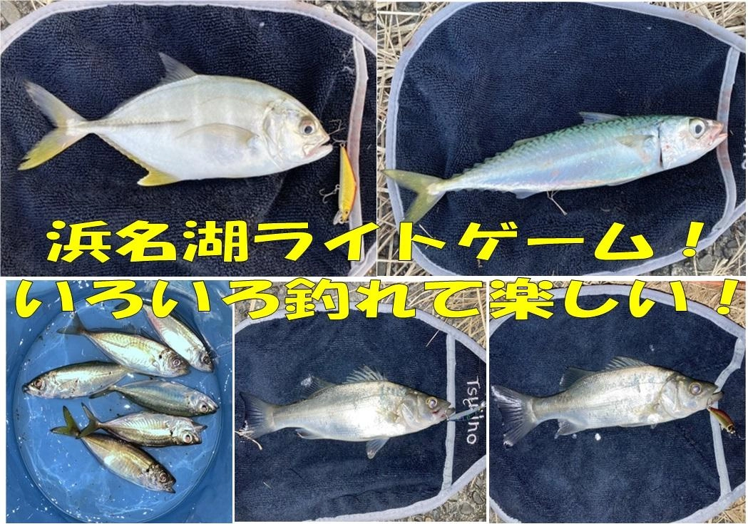 メッキやサバなど回遊魚は今が狙い目！