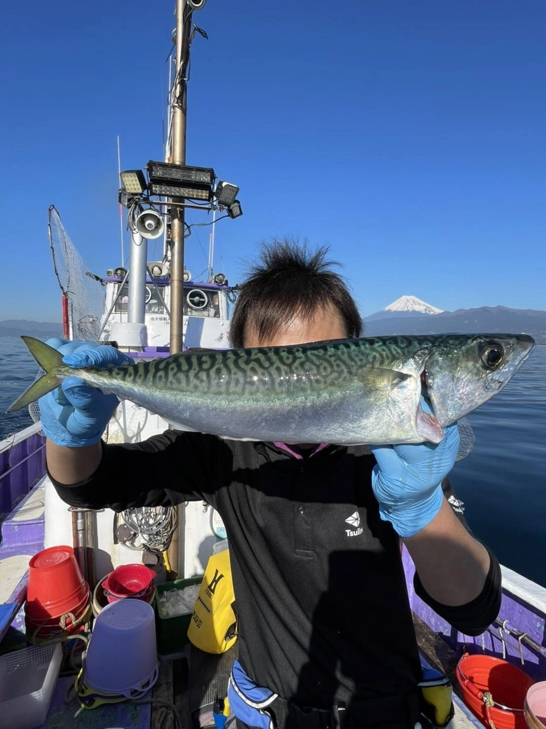 サバの脂の乗りが、尋常ではありません！！最高に美味しいです！