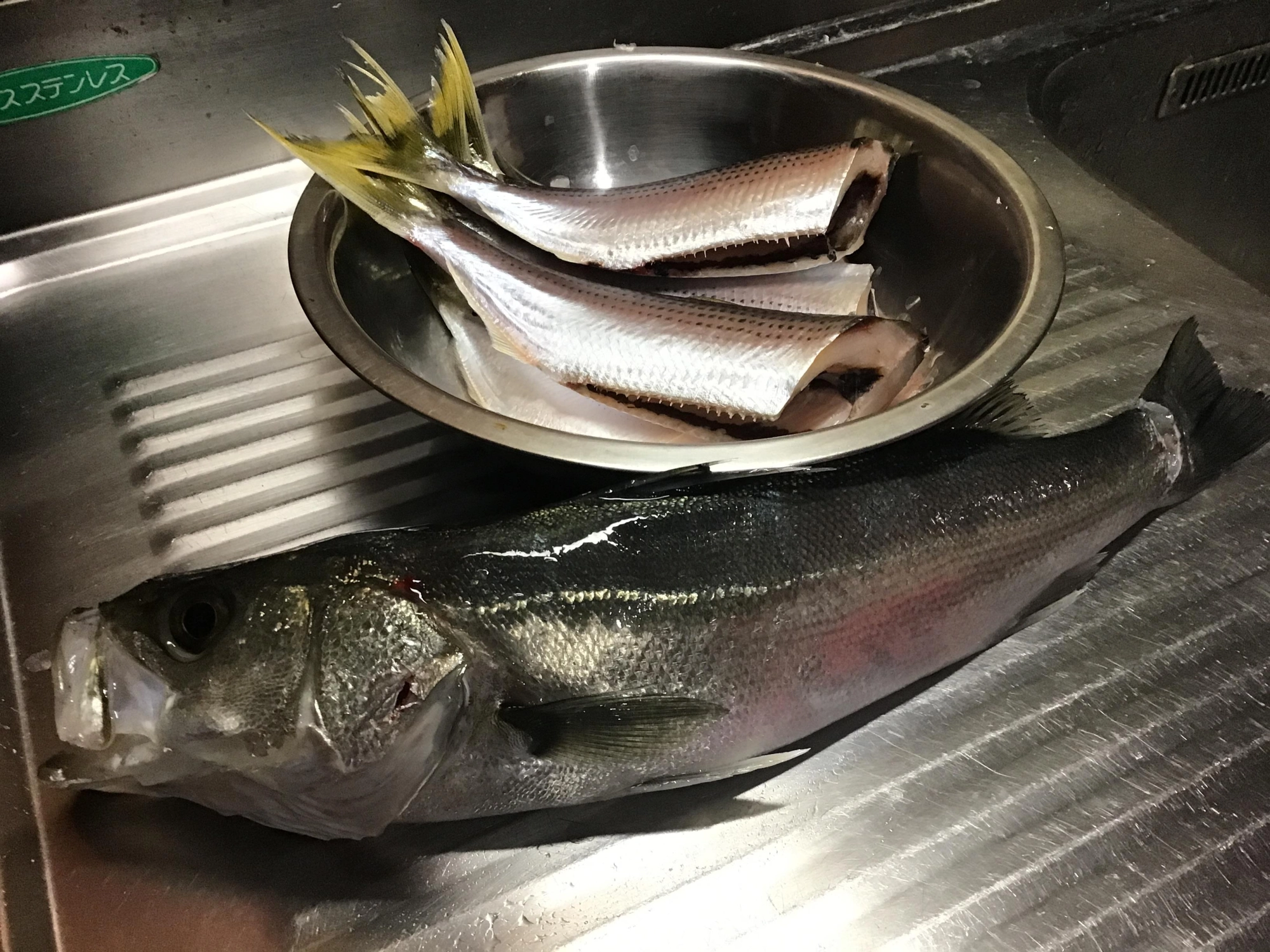 シーバスはかっこいいですね〜。コノシロは小骨多いので、骨切りが必要デス。