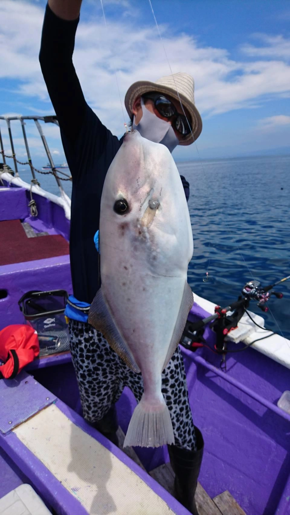 大型のウスバハギを釣ることができました！引きがかなり強烈でした!!
