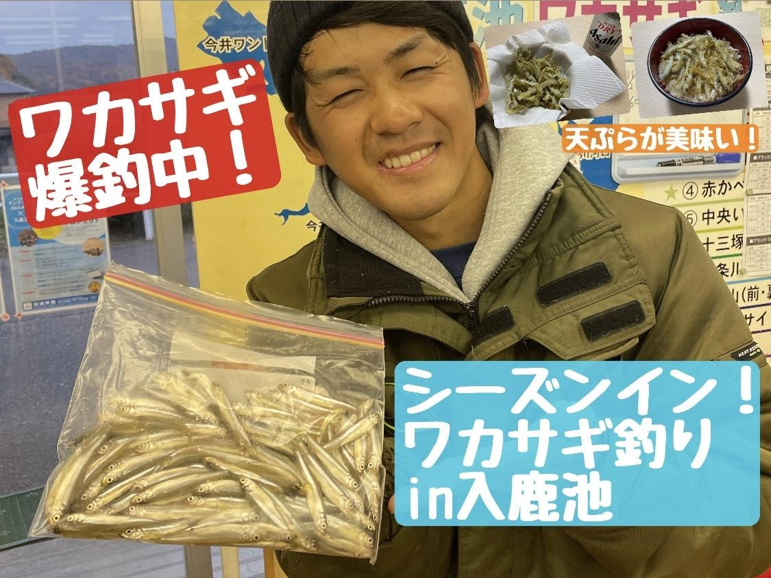 【ワカサギ爆釣中！！】ワカサギ釣りin入鹿池