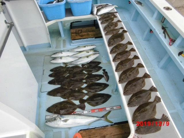 ヒラメにマゴチにハマチにワラサにマルにマトウダイにマハタにワヤくちゃ食いッ(ﾟ∀ﾟ)！！
