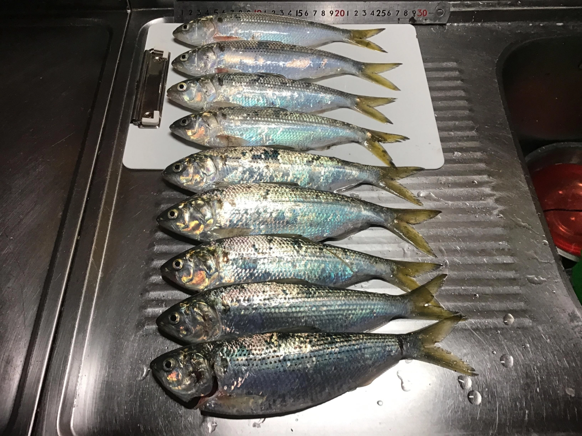 必勝法を会得したもようデス❗️これ以上食べれないので封印します。