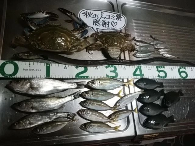 恵みに感謝。