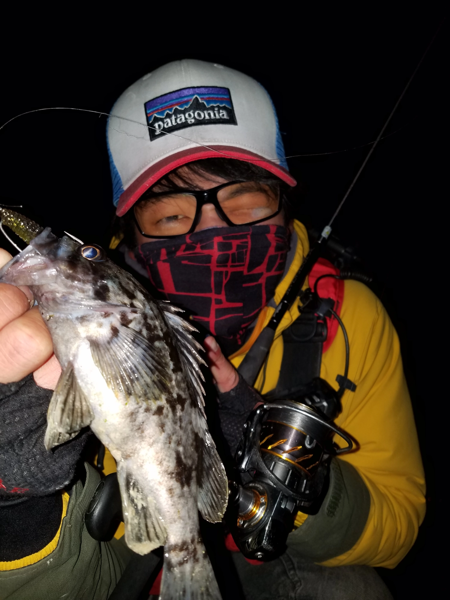 根魚蟲バックスライドカスタム良く釣れます！