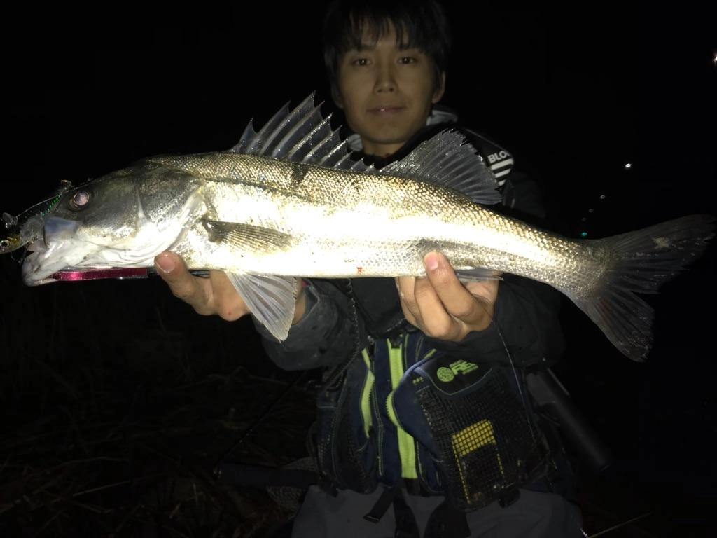 サイズは無いですが貴重な１本！