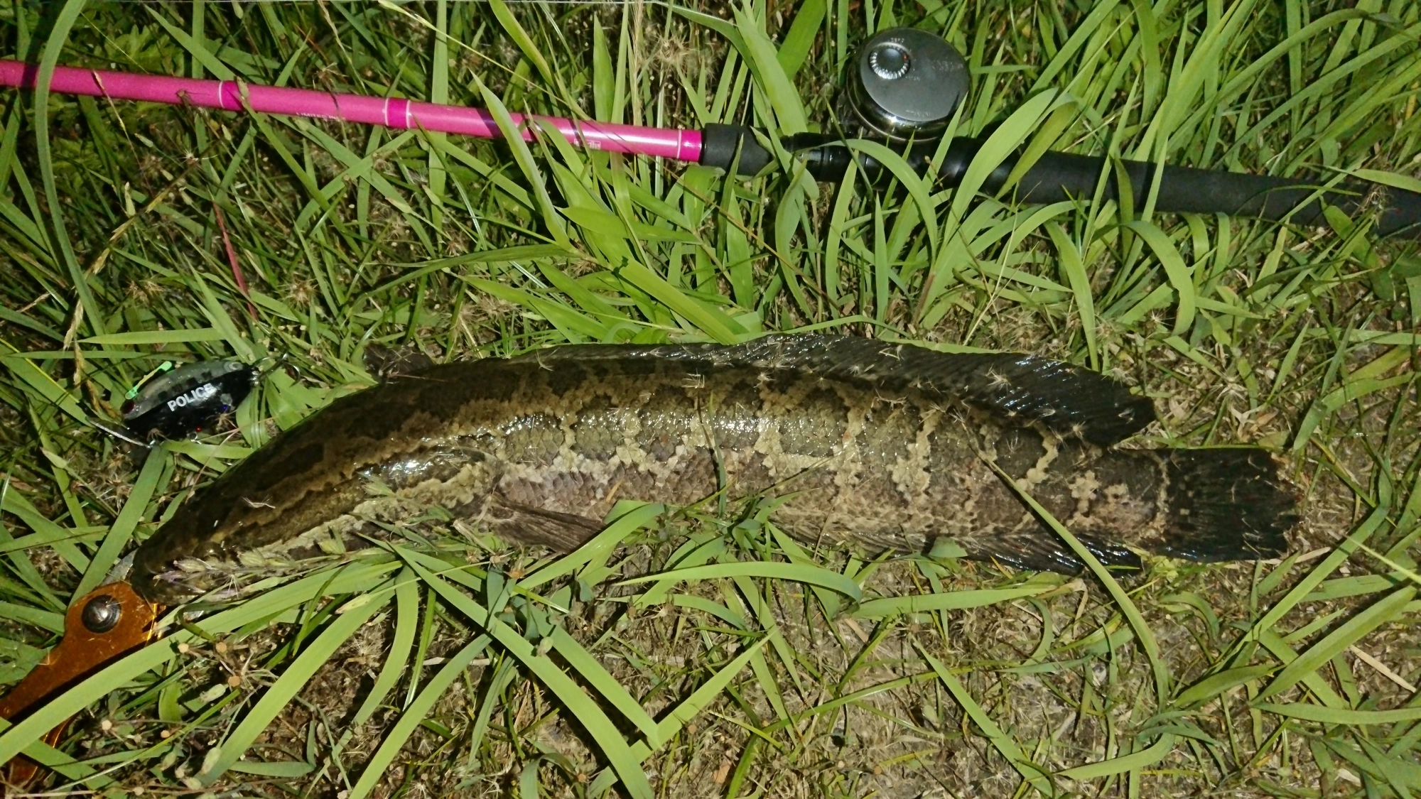 ルアーはザクトクラフト
ザグナ