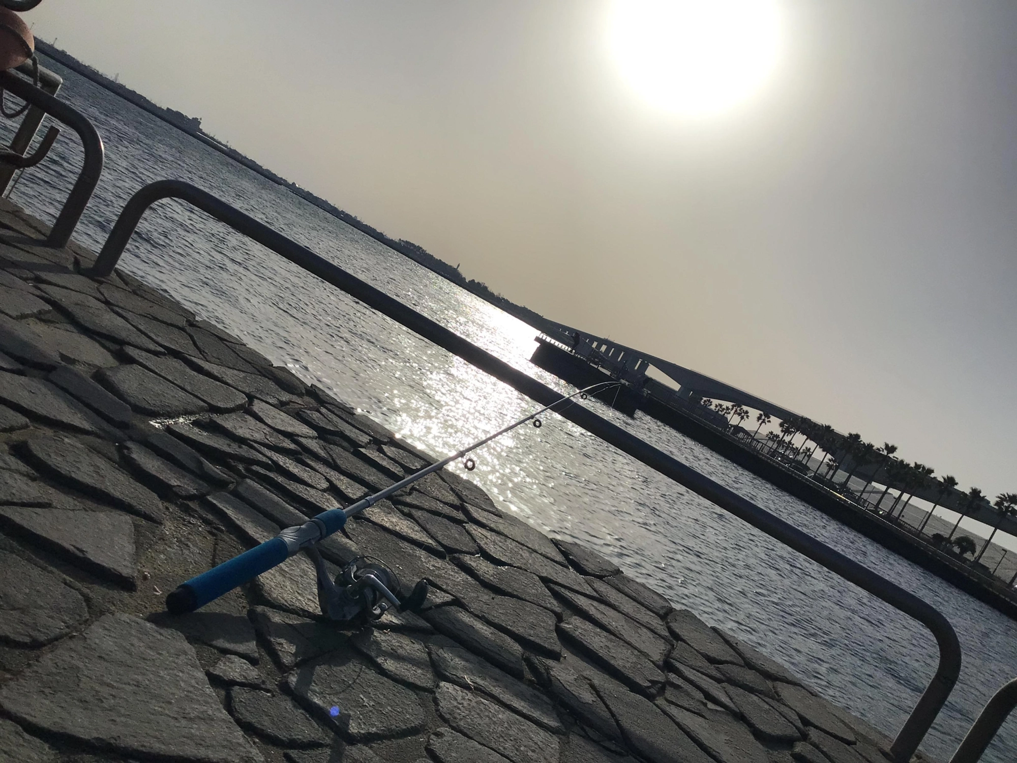 超いい天気。風は強め。