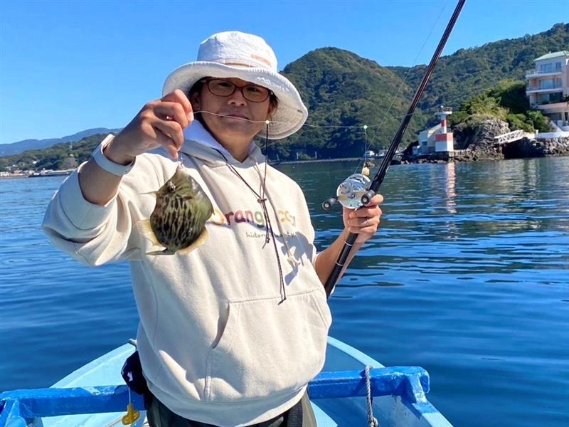 カワハギの肝が大きくなってきました！