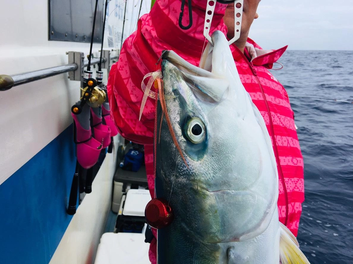 タイラバでも釣れる