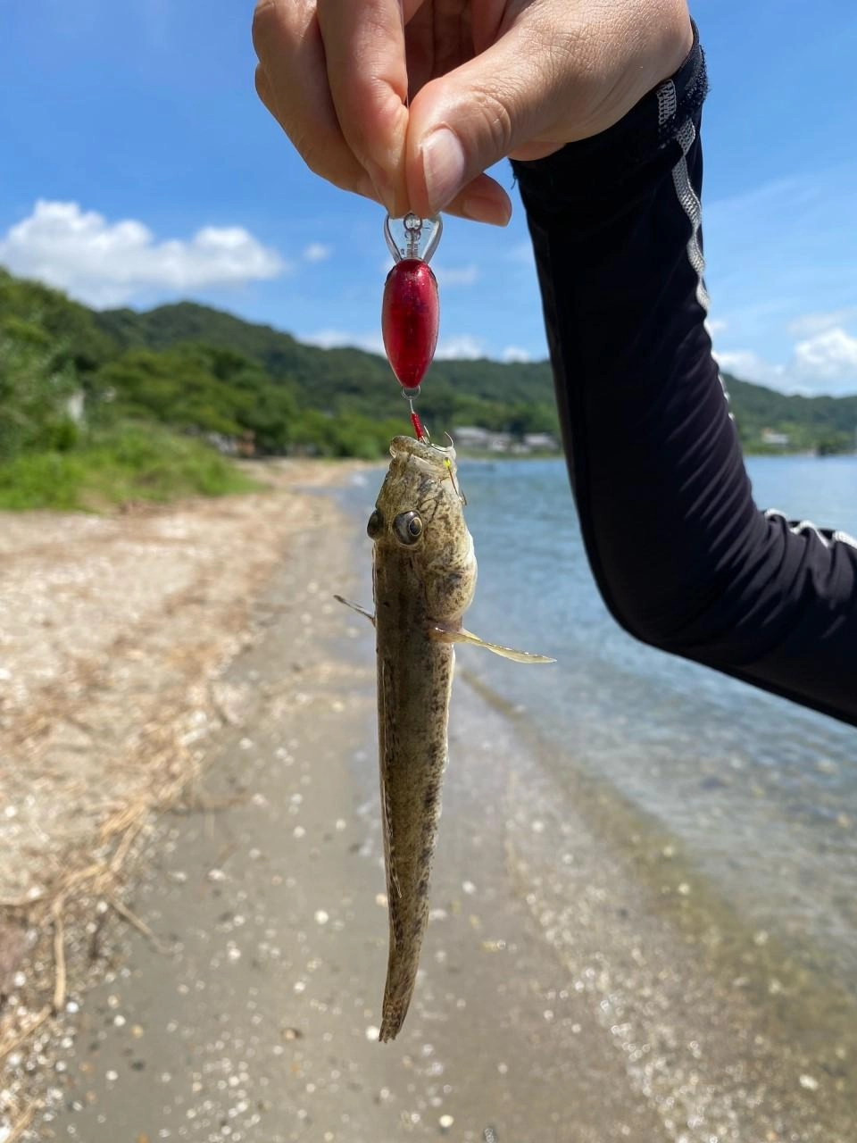 ヒットルアー【バスデイ　はぜ玉】。カラーは赤系がGOOD！15㎝超えハゼも数匹釣れました！