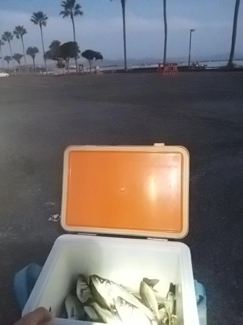 恵みにらぶ！