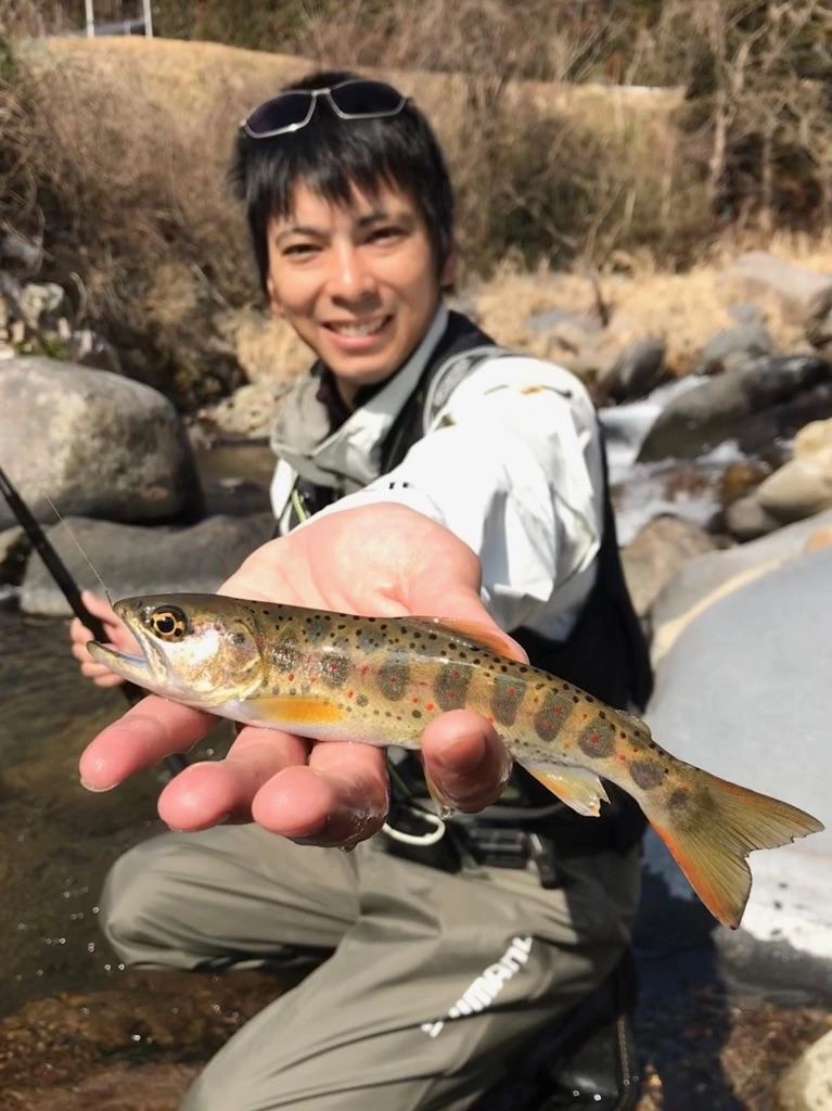 キレイな天然アマゴが釣れました。