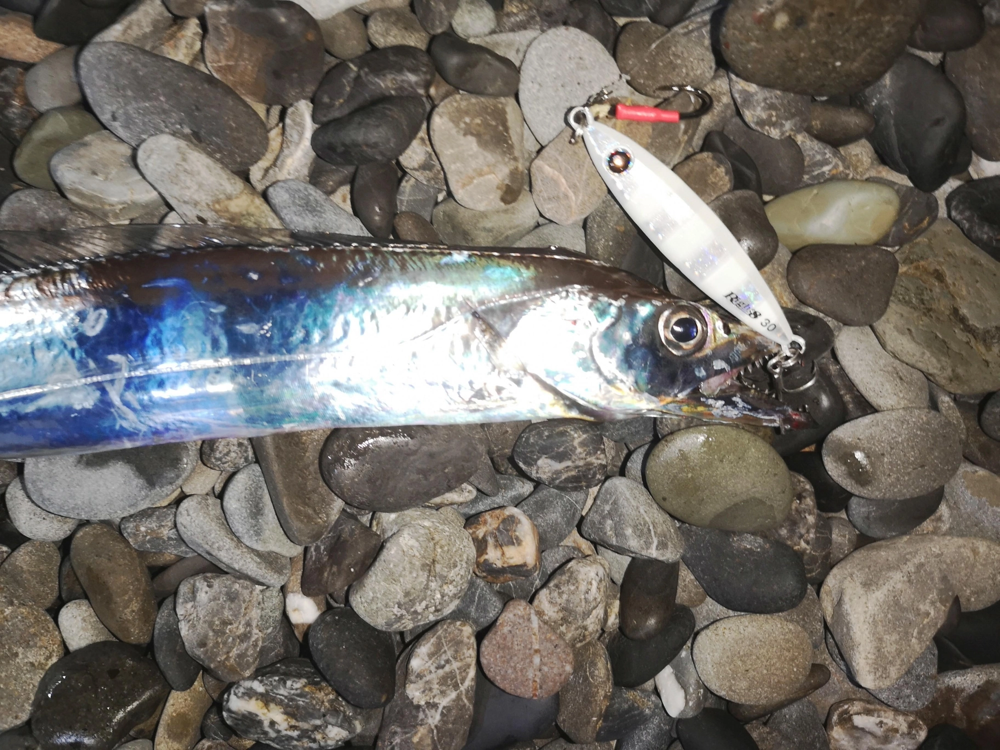 ライパチ 30g ゼブラグロー