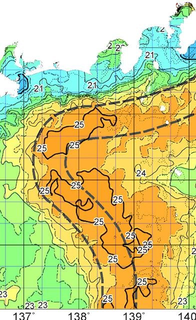 黒潮の本流がすぐ近くまで接近中！！