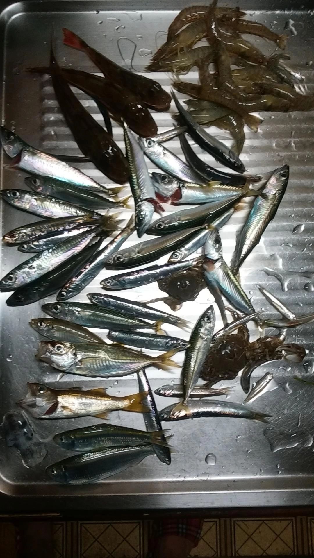 今日も恵みに感謝です！