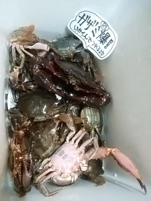 感謝