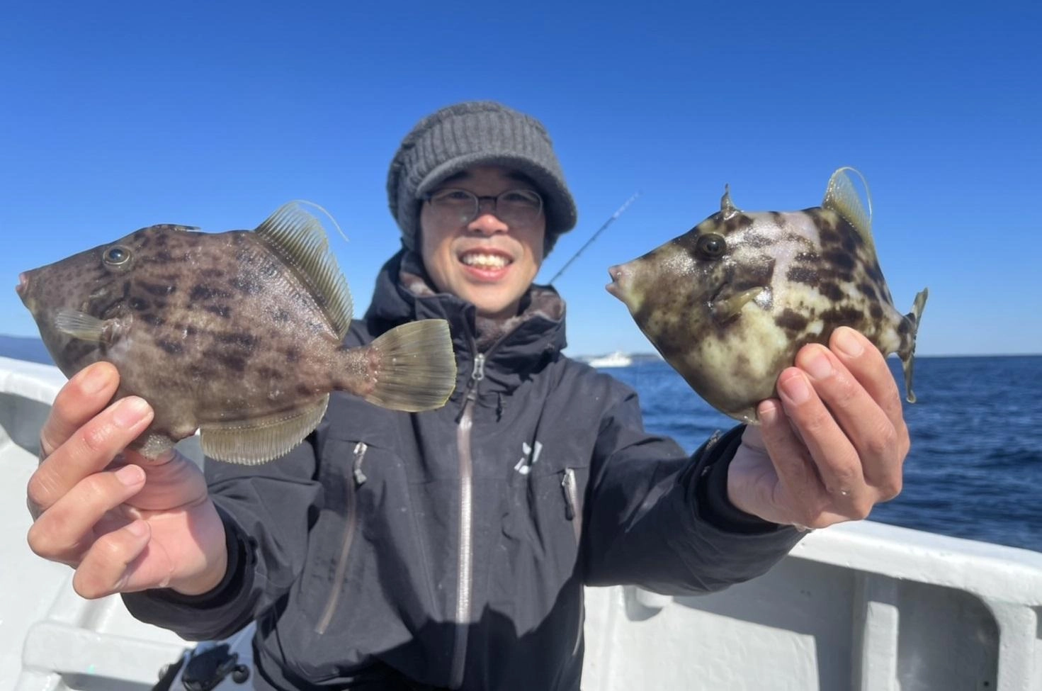 伊東沖　良型カワハギ釣れてます！