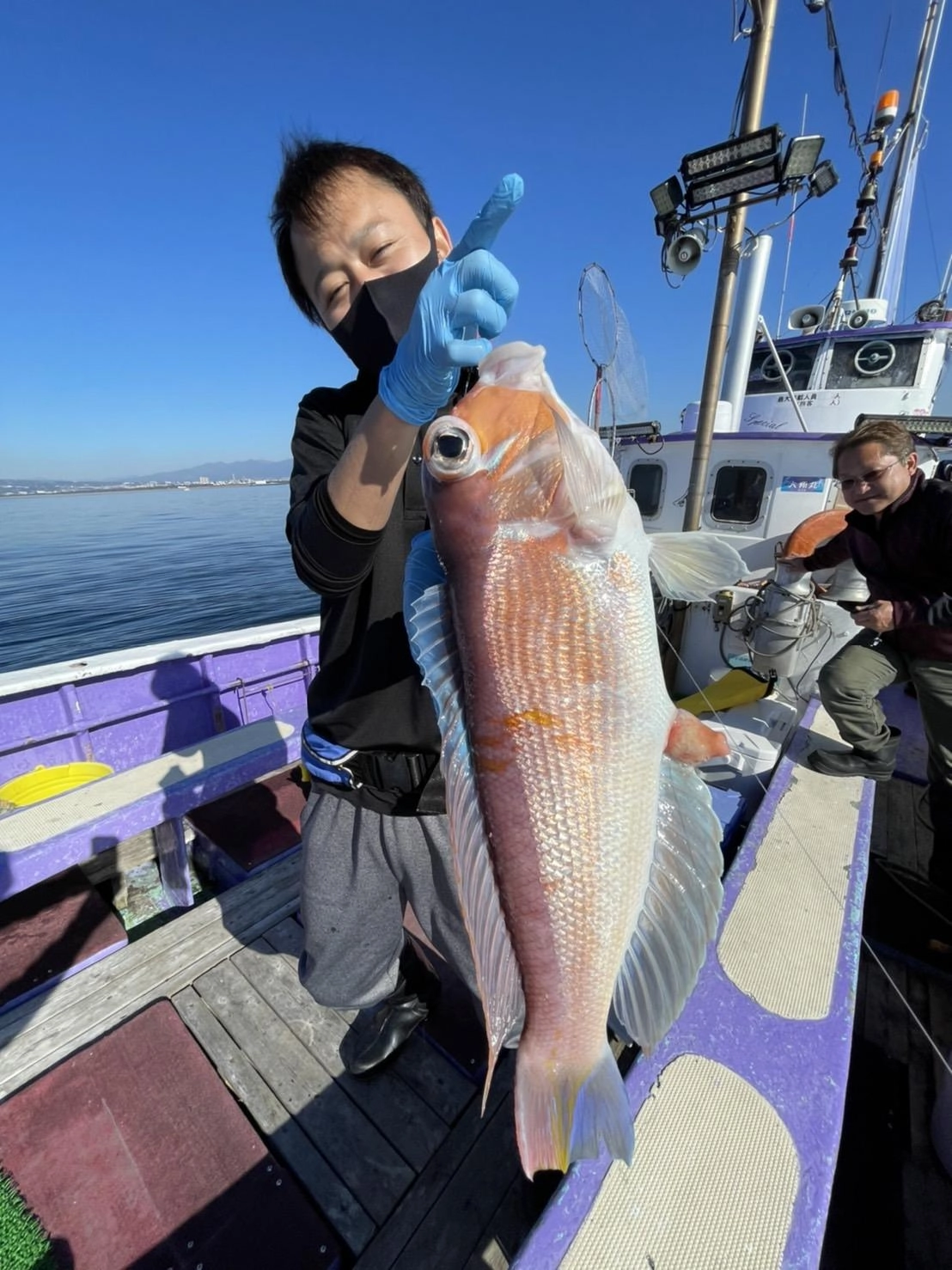 沼津沖良型アマダイ釣れています！ケイムラ針を使用。水中灯はUVカラーに高反応！