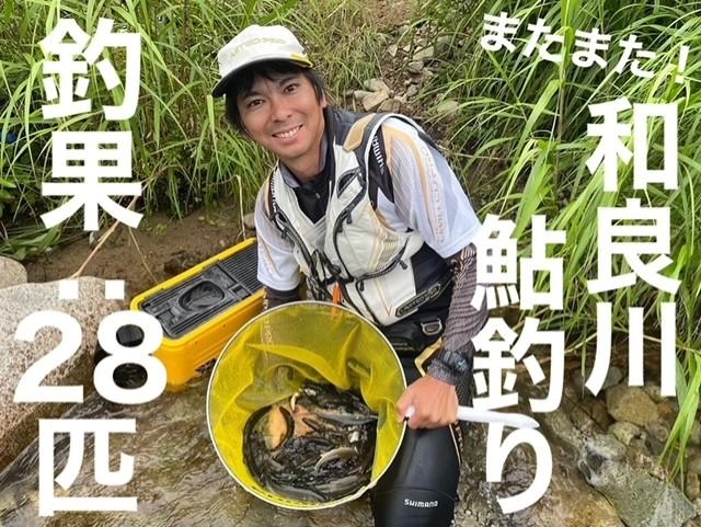 和良川鮎釣り 泳がせ釣りが重要！ | 釣具のイシグロ | 釣り情報サイト