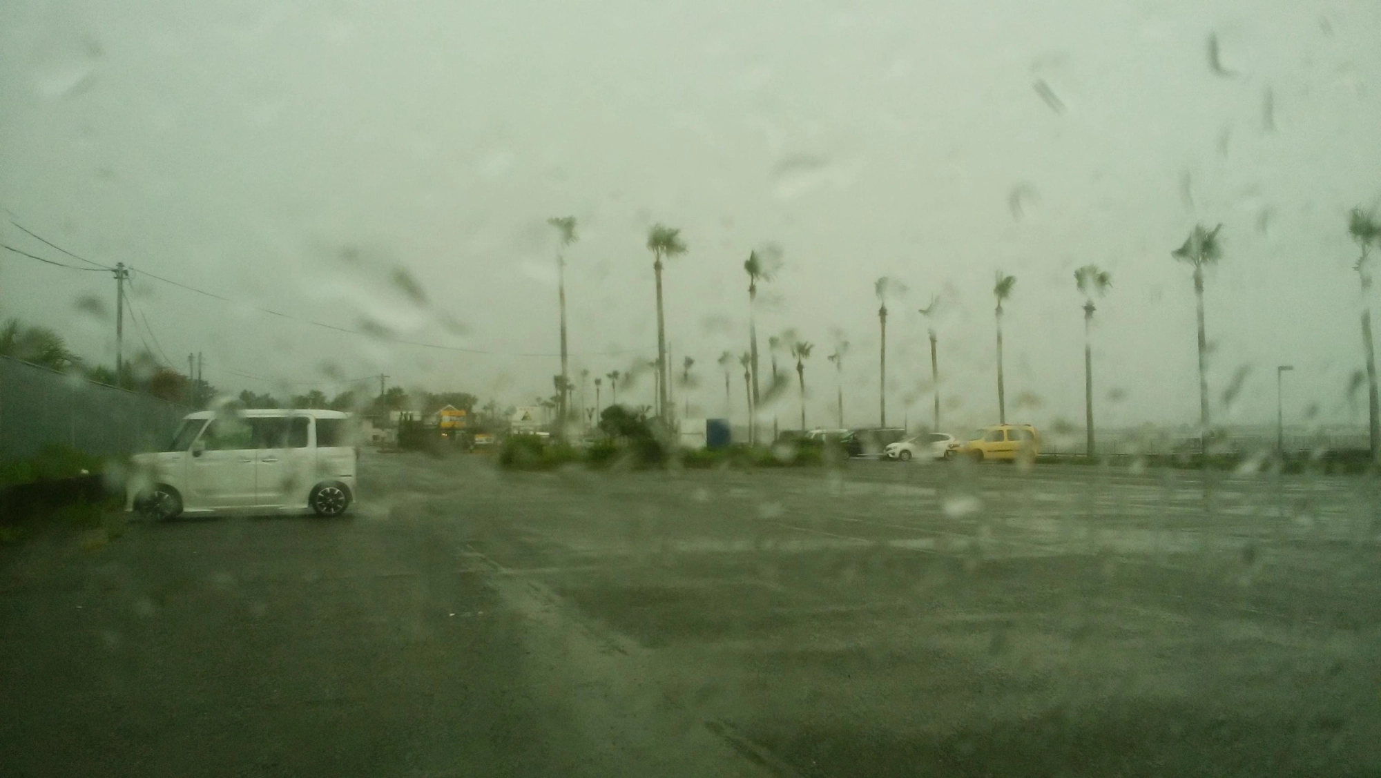 梅雨戻ったね。