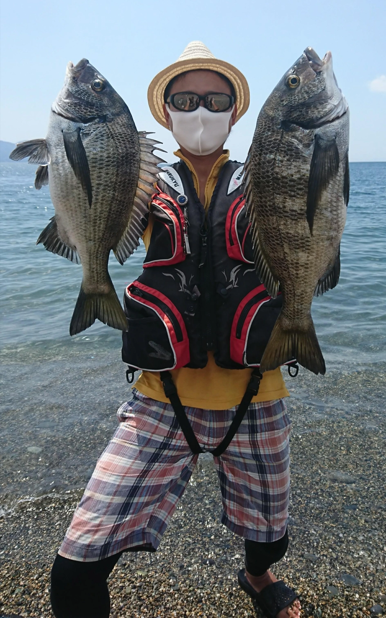 クロダイの時合いにあたり立て続けに良型を２匹釣ることができました！