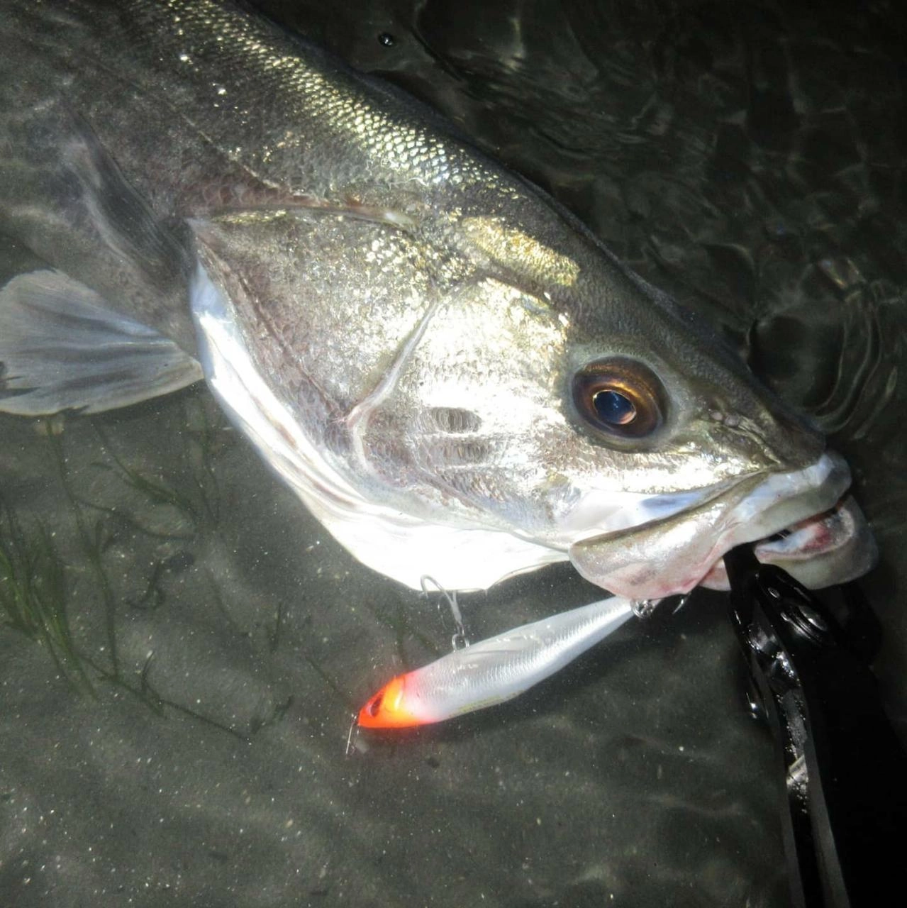 Megabass　GENMA85S　13ｇ　GPﾚｯﾄﾞﾍｯﾄﾞ