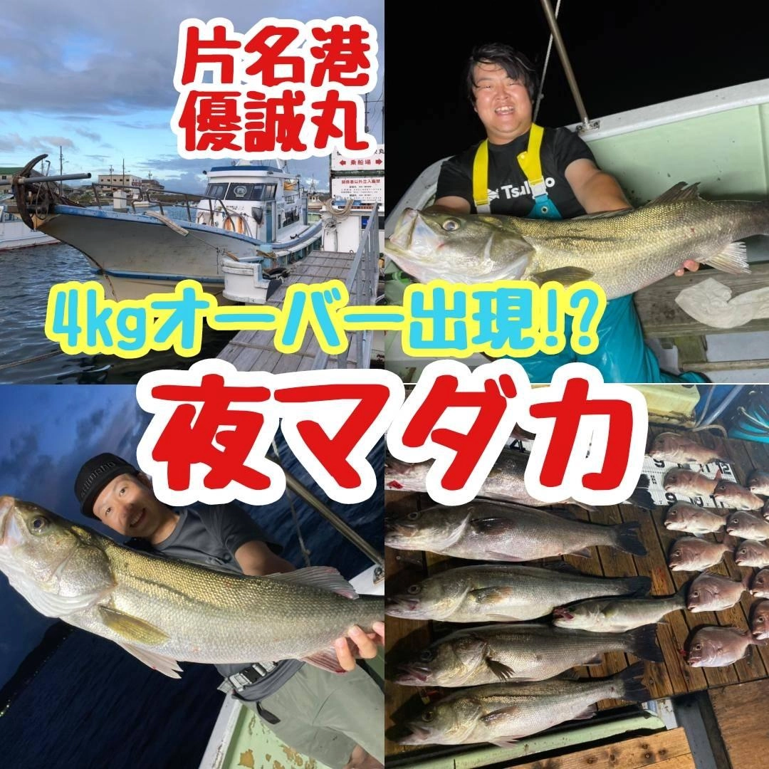 【イシグロ半田店】【夜マダカ】シーズンラストの夜マダカで大・大・大爆釣!!