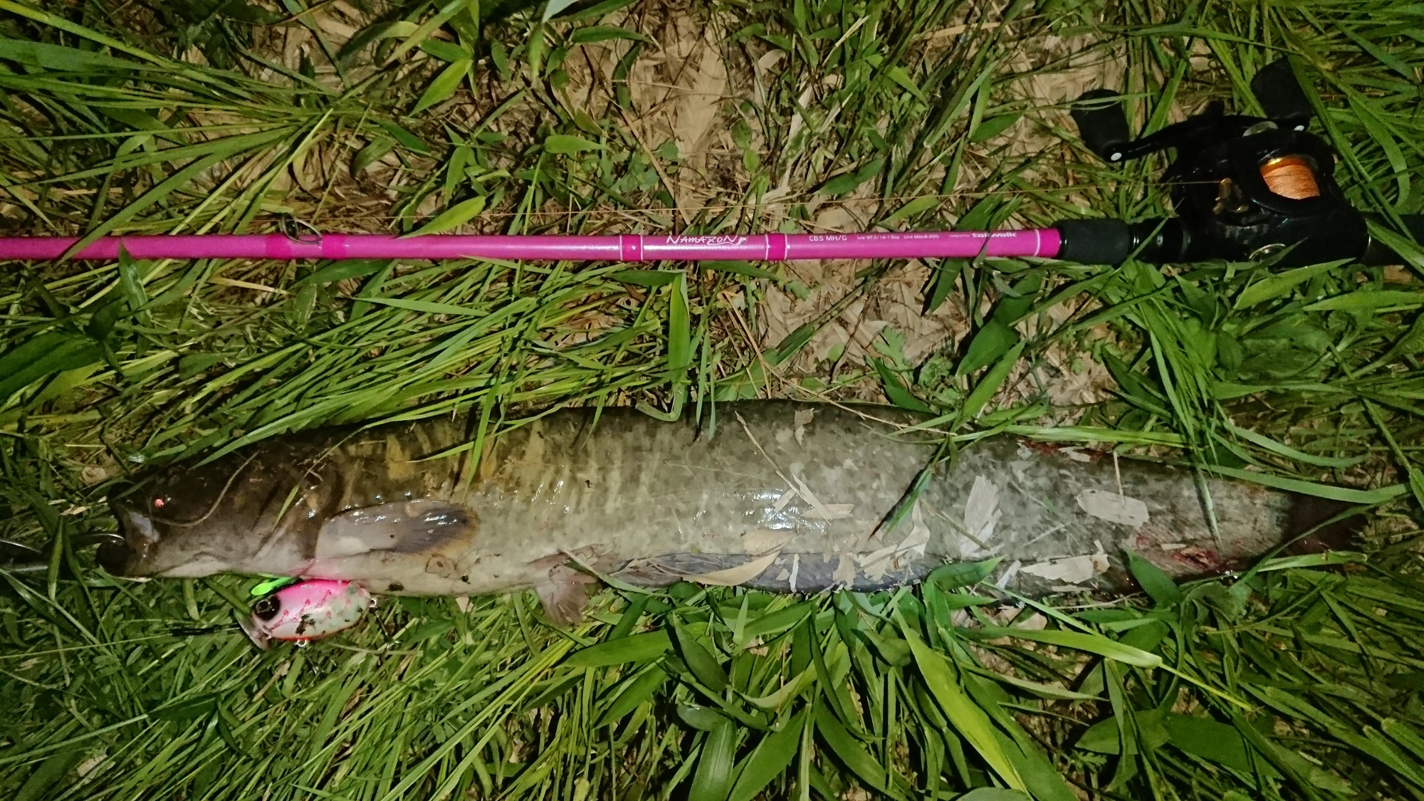 ルアーはザクトクラフト
ザグナ